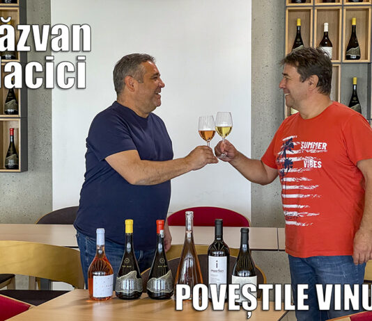 Poveștile vinului – de vorbă cu vinificatorul român Răzvan Macici