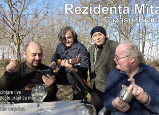 Muzică live, pește prăjit, vin bun la Rezidența Mîță