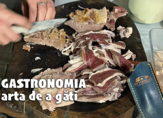 Gastronomia, arta de a găti