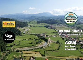 RV Fest 2026 – Festivalul comunității de rulotiști din România