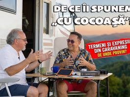 🚐 De ce îi spunem unei autorulote „cu cocoașă”? Și de unde au apărut toate aceste denumiri?