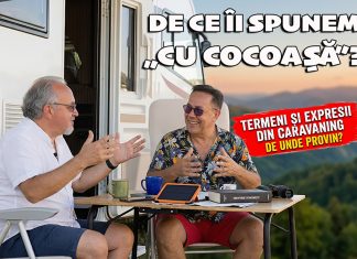 🚐 De ce îi spunem unei autorulote „cu cocoașă”? Și de unde au apărut toate aceste denumiri?